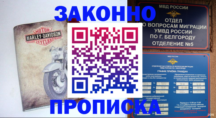 прописка для школы в Малой Вишере